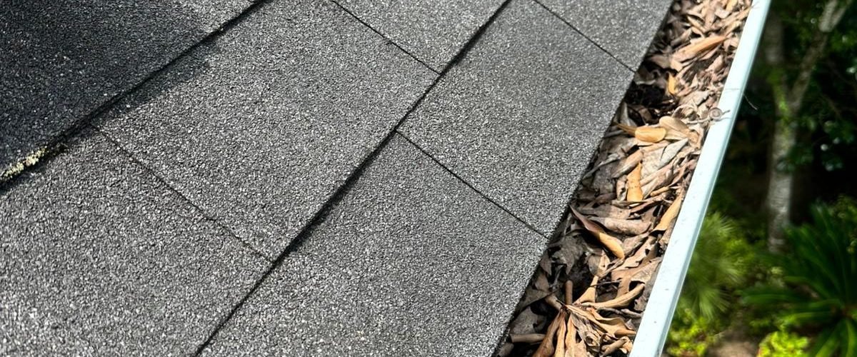 Imagem do WhatsApp de 2025-07-29 à(s) 21.41.08_53fe7964